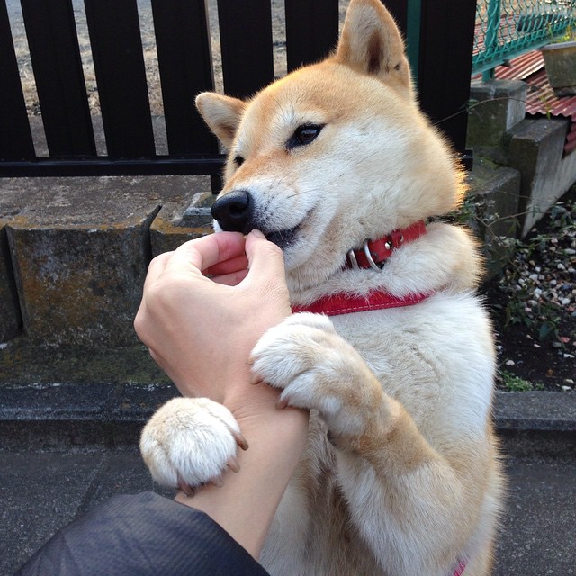 中国男篮对阵强敌收获经验也暴露不足,中国男篮对阵强敌收获经验也暴露不足的球员